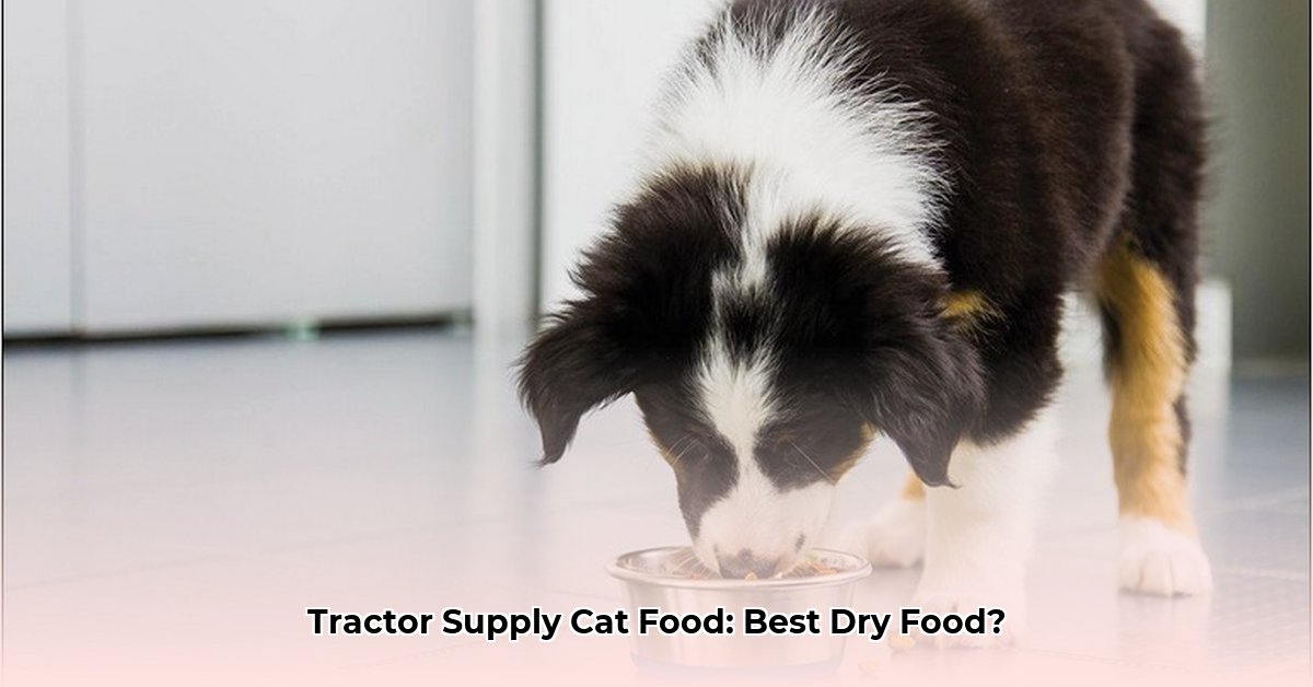 tractor-supply-cat-food-dry